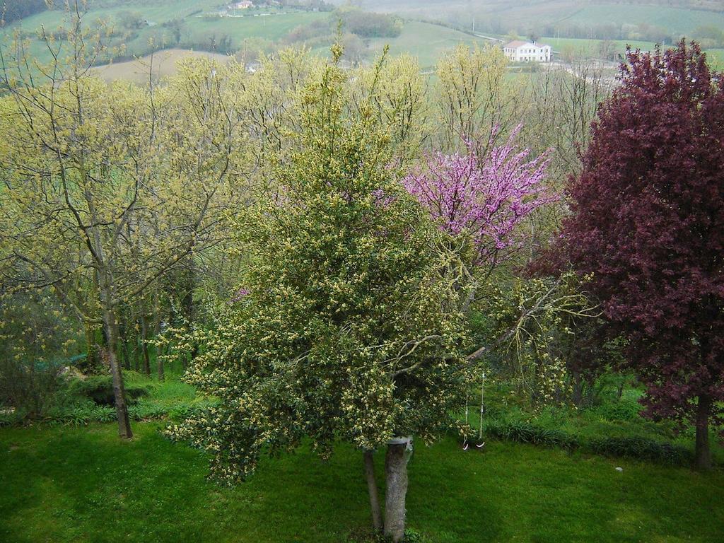 Casale Del Monsignore Сполето Екстериор снимка